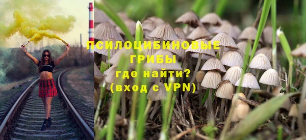 хмурый Нягань