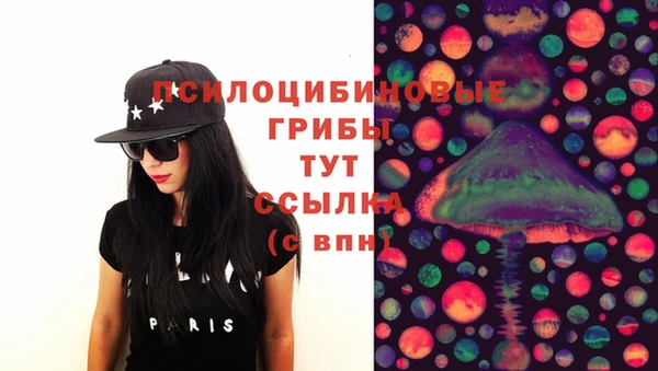 хмурый Нягань