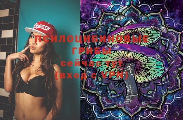 хмурый Нягань