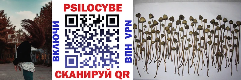Псилоцибиновые грибы MAGIC MUSHROOMS  Приморско-Ахтарск 